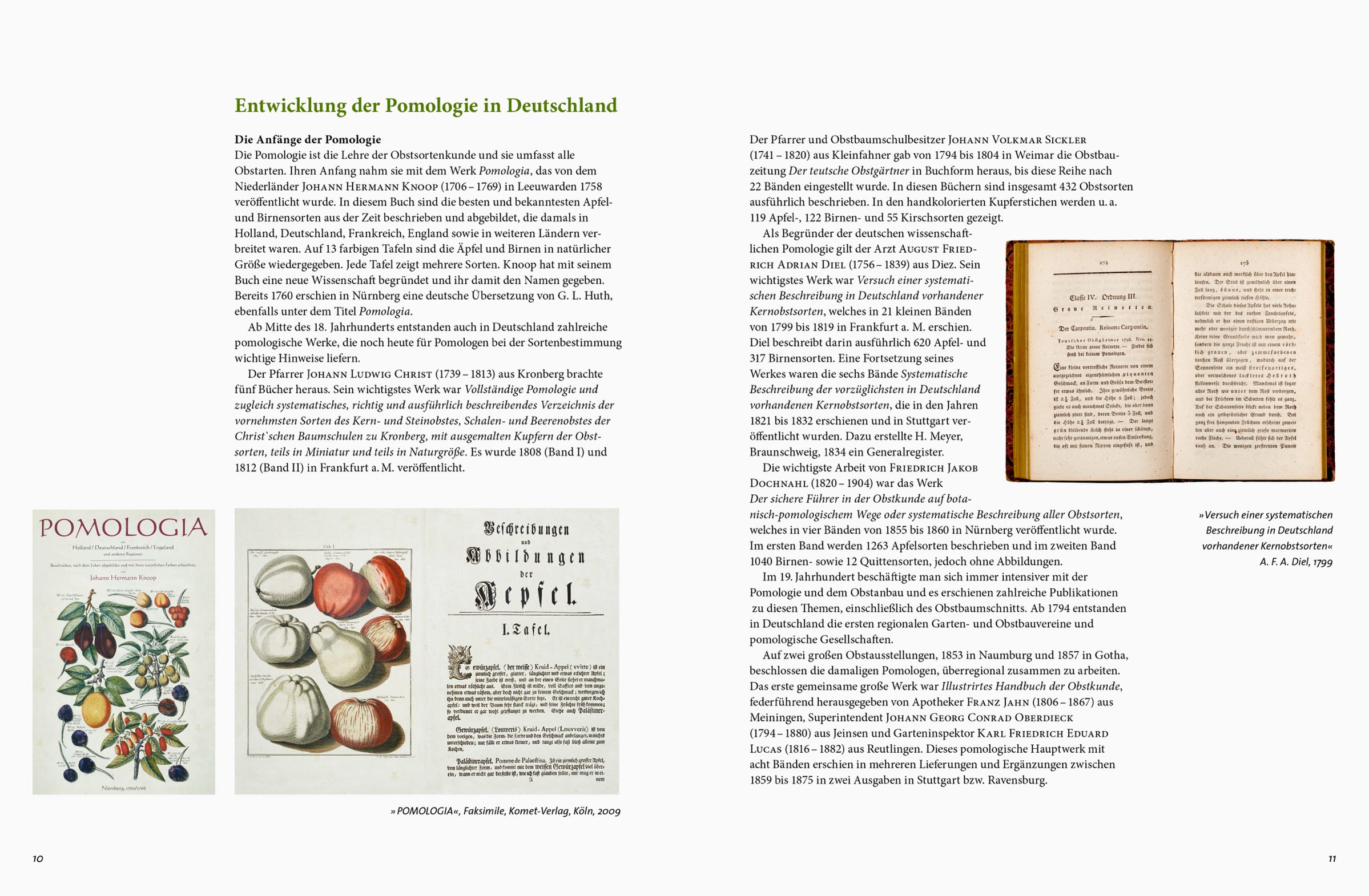 Beispielseite aus dem Buch "Apfelsorten in Deutschland": Ein Artikel zur Geschichte der Pomologie