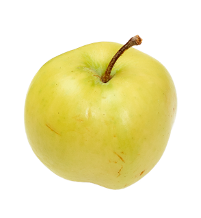 Apfelsorte Weißer Klarapfel